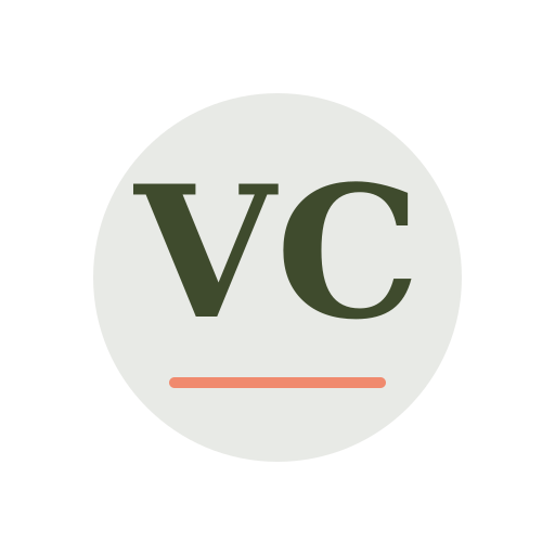 Velor Chimney Services logo